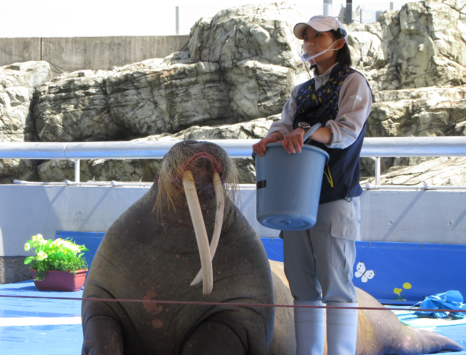 大分マリーンパレス水族館「うみたまご」